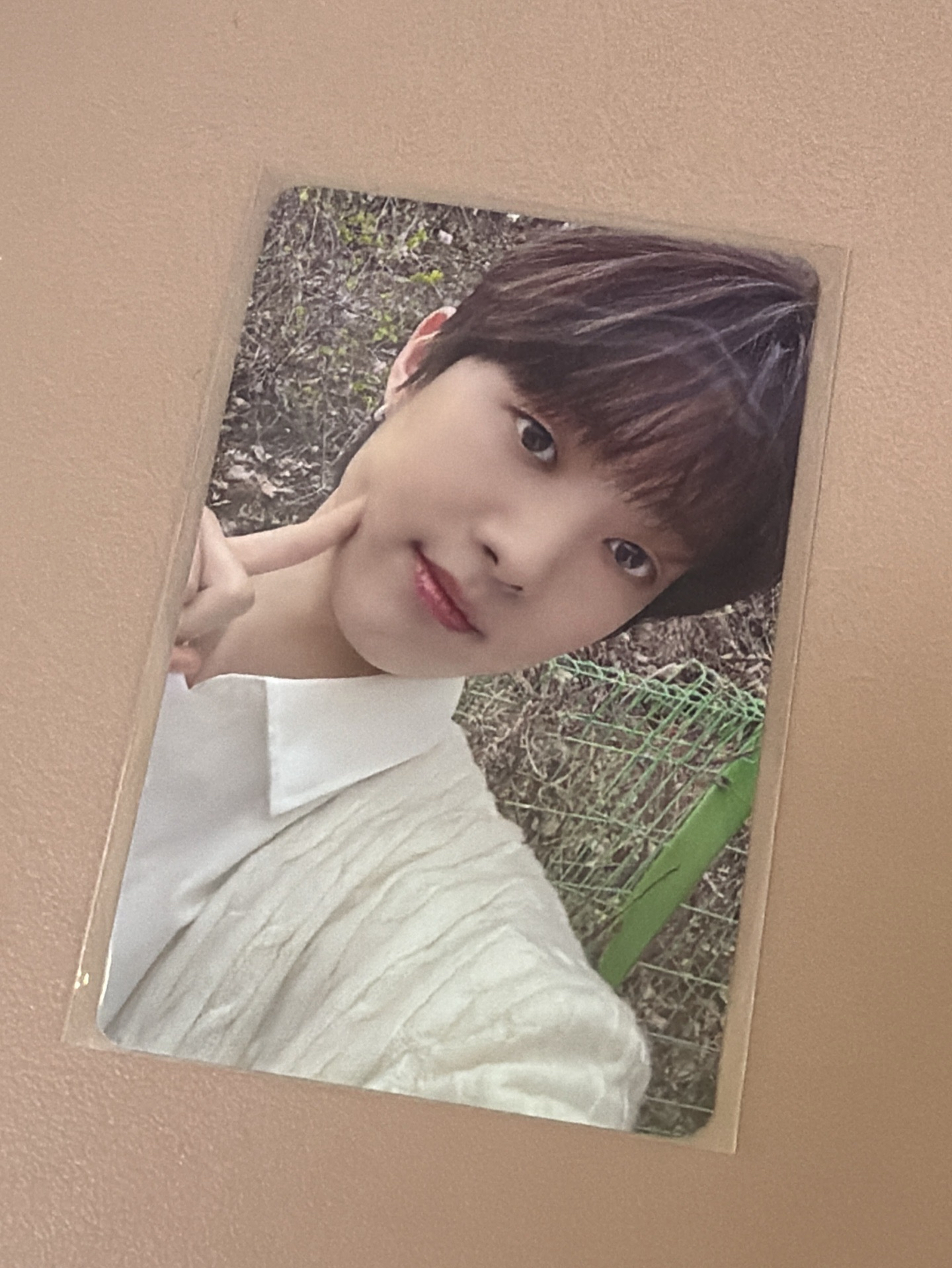 五月雨 日咖 3.0 幸運卡 EJ