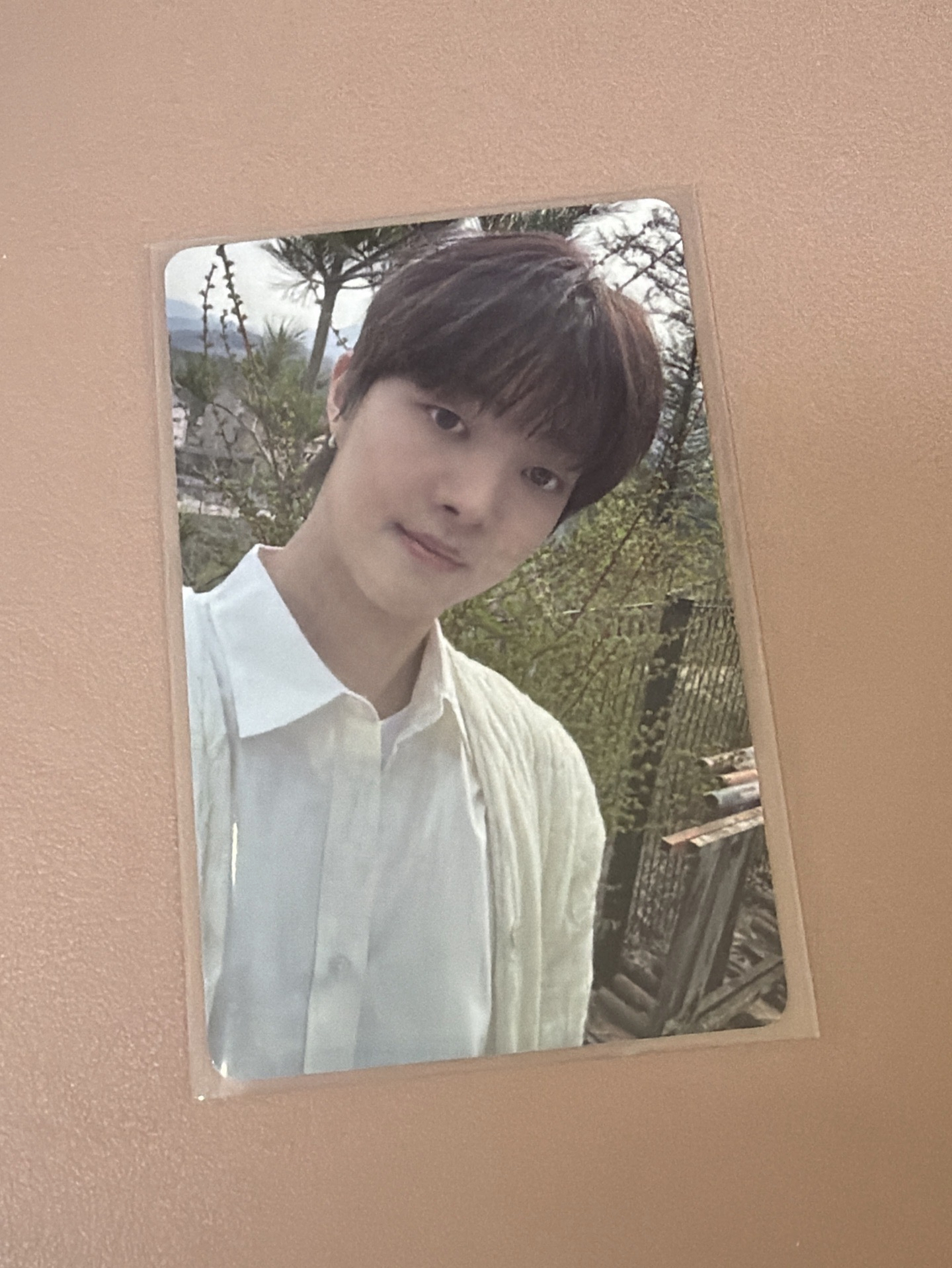 五月雨 wvs Gl 2.0 簽售卡 EJ