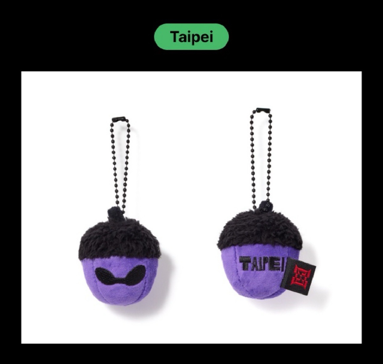 HOPE ON THE STAGE 台北場松果 橡實