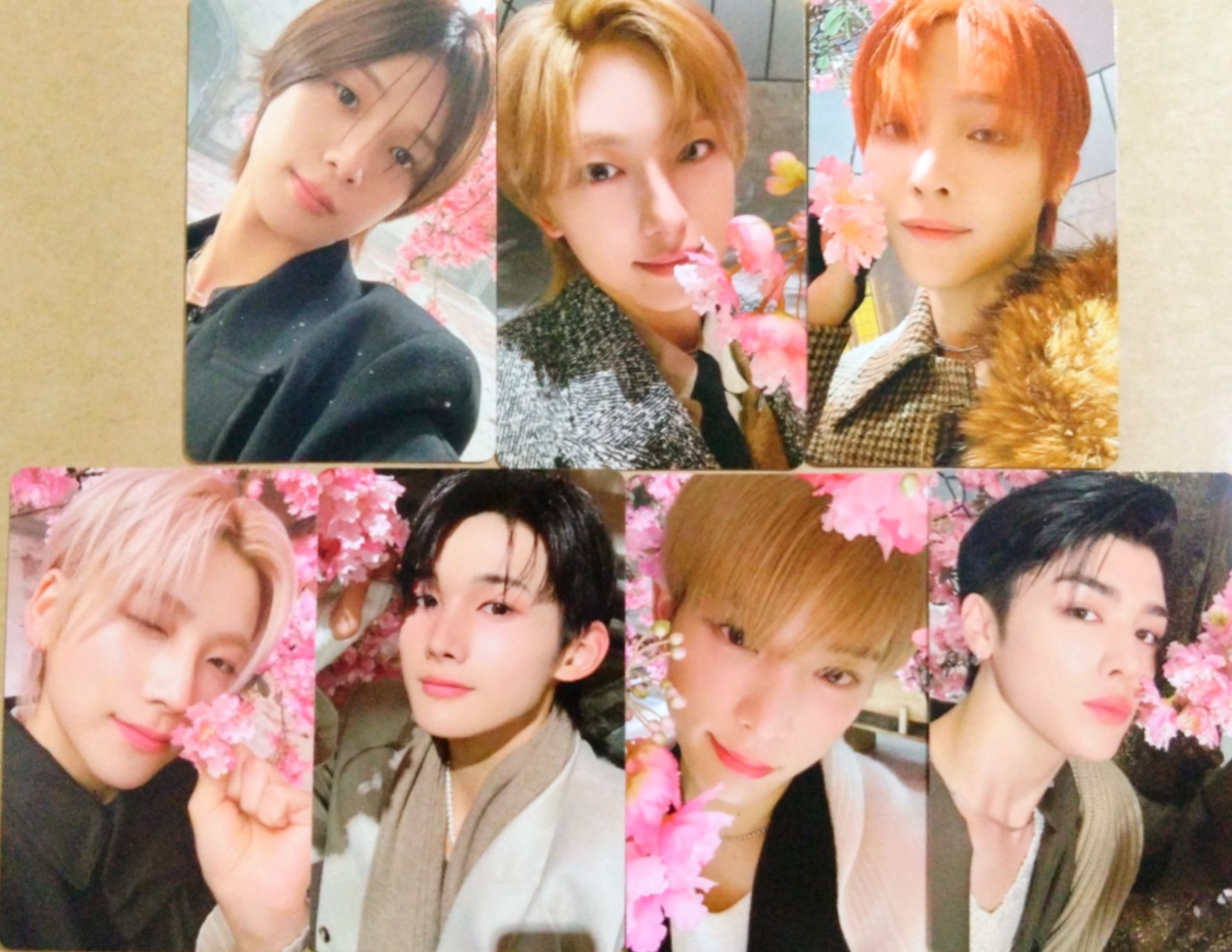 &TEAM | 雪明 通常專卡 櫻花樹