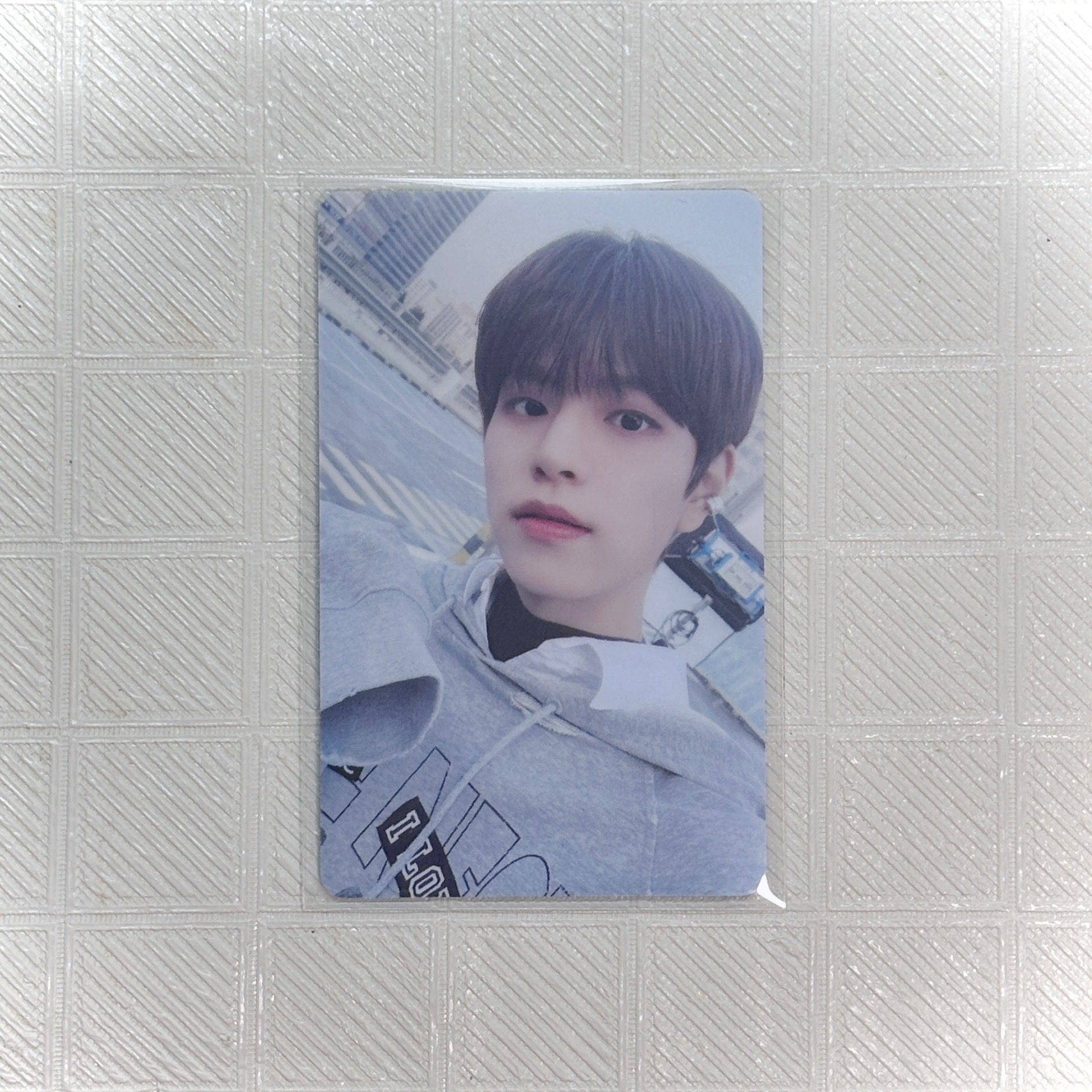 StrayKids｜聖誕 扭蛋 萌袖玟🐶