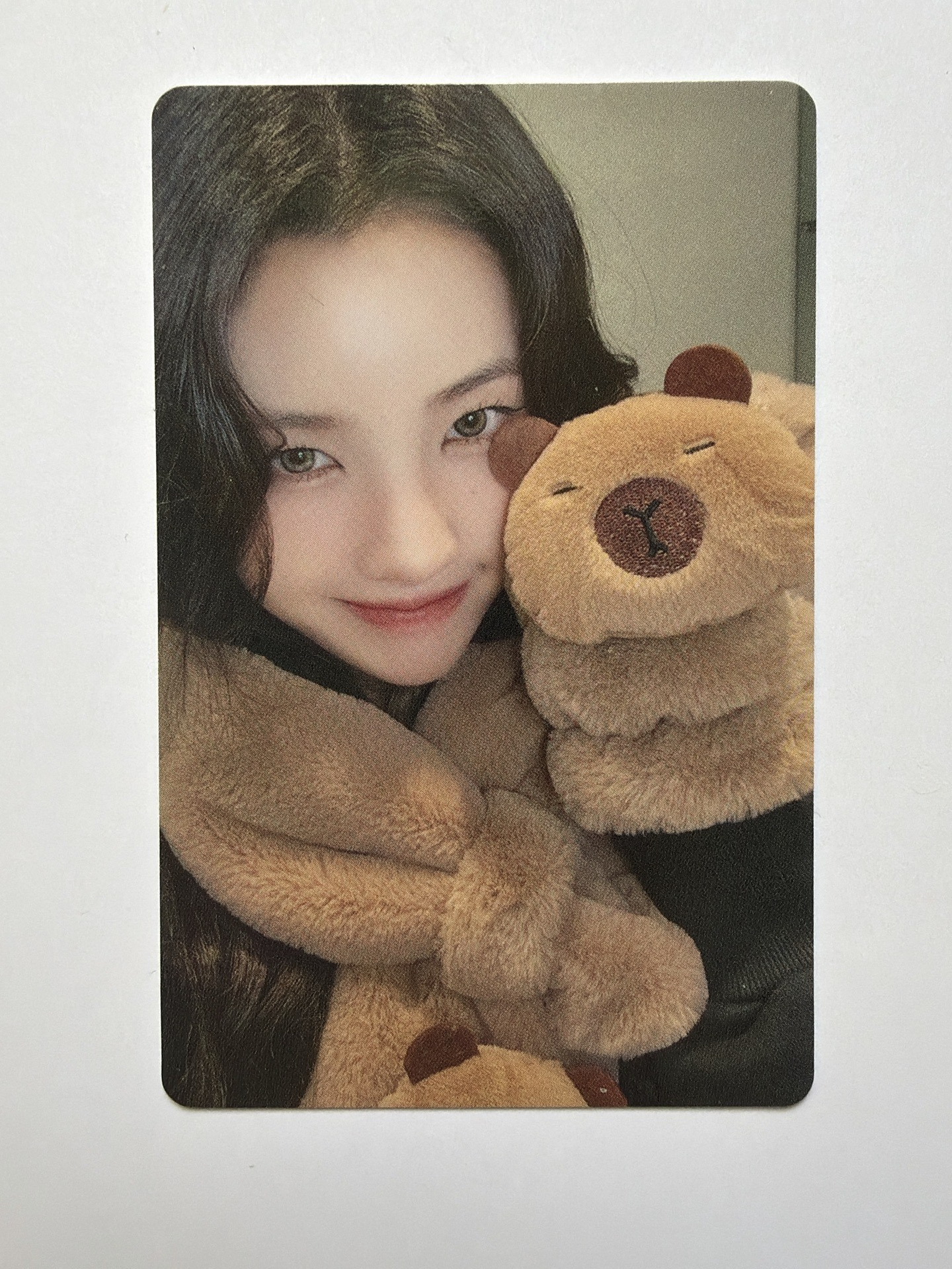 現貨當日出貨/正規二 yzy 8.0 特典卡 卡皮巴拉娟