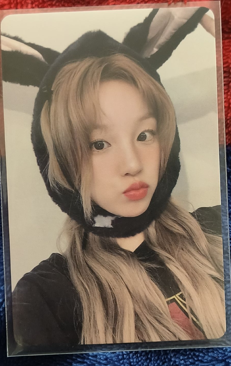 毛驢琦（我們拉勾吧）*帶白字