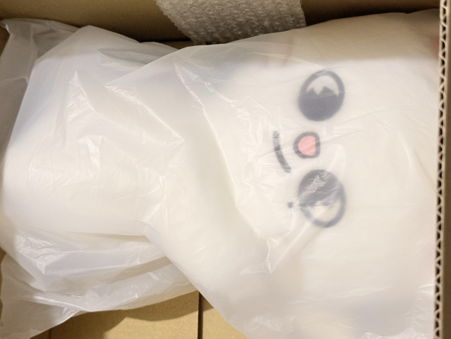 辰側背娃 全新未拆 現貨