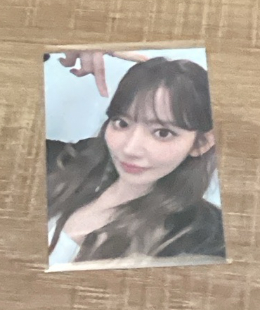 台北場粽卡 小櫻花