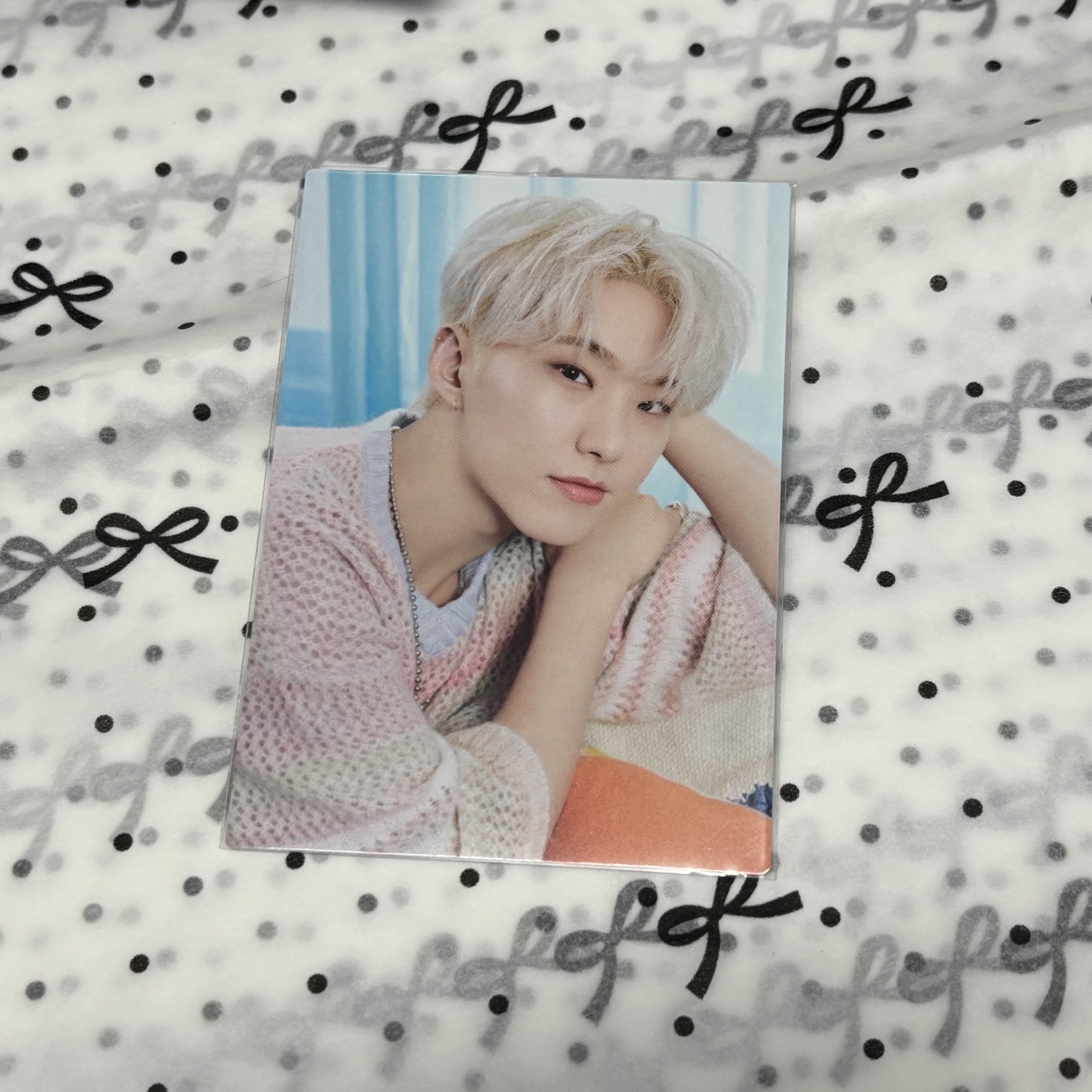 SEVENTEEN HOME HOSHI