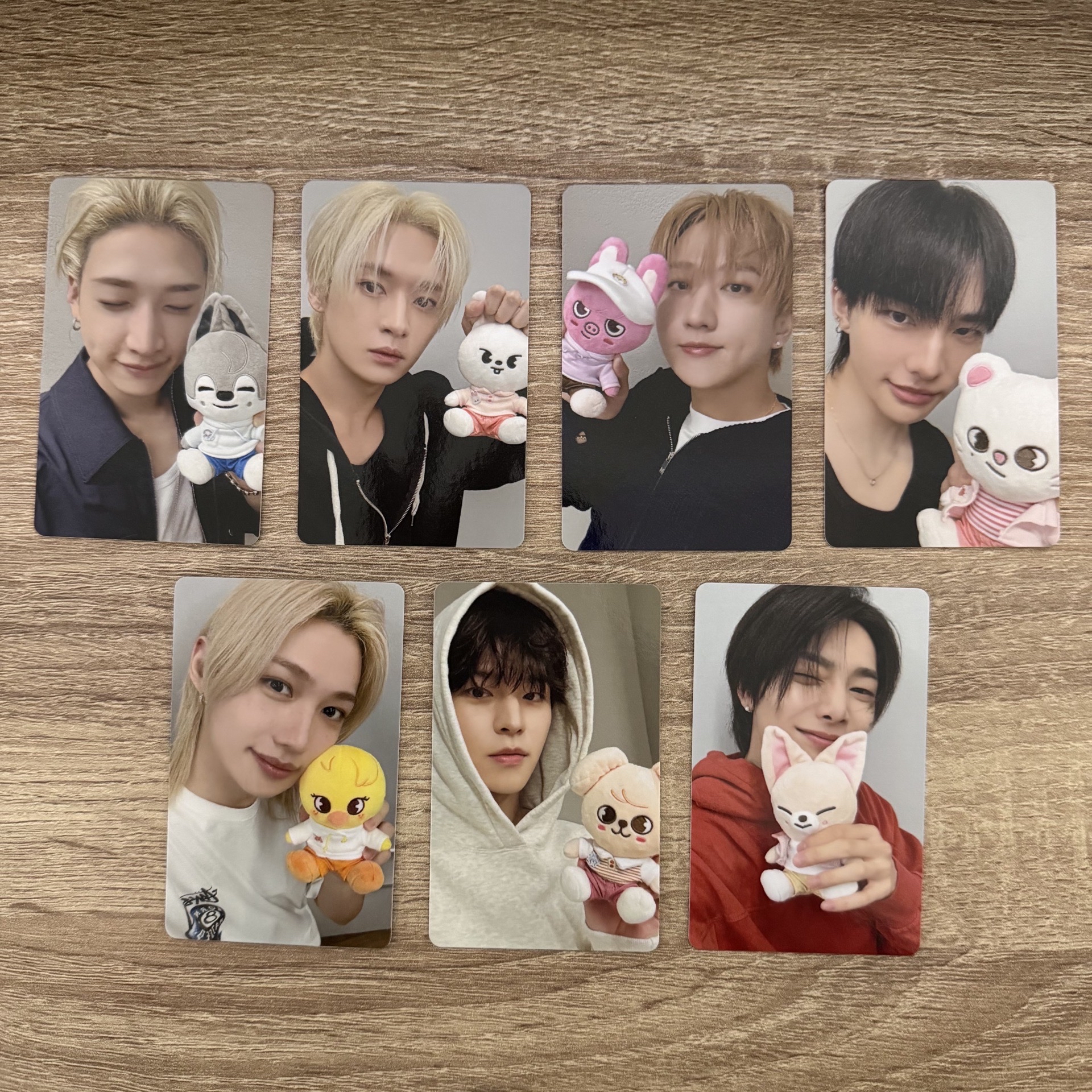 Stray kids 聯名 動物方程式2 滿額卡 小卡