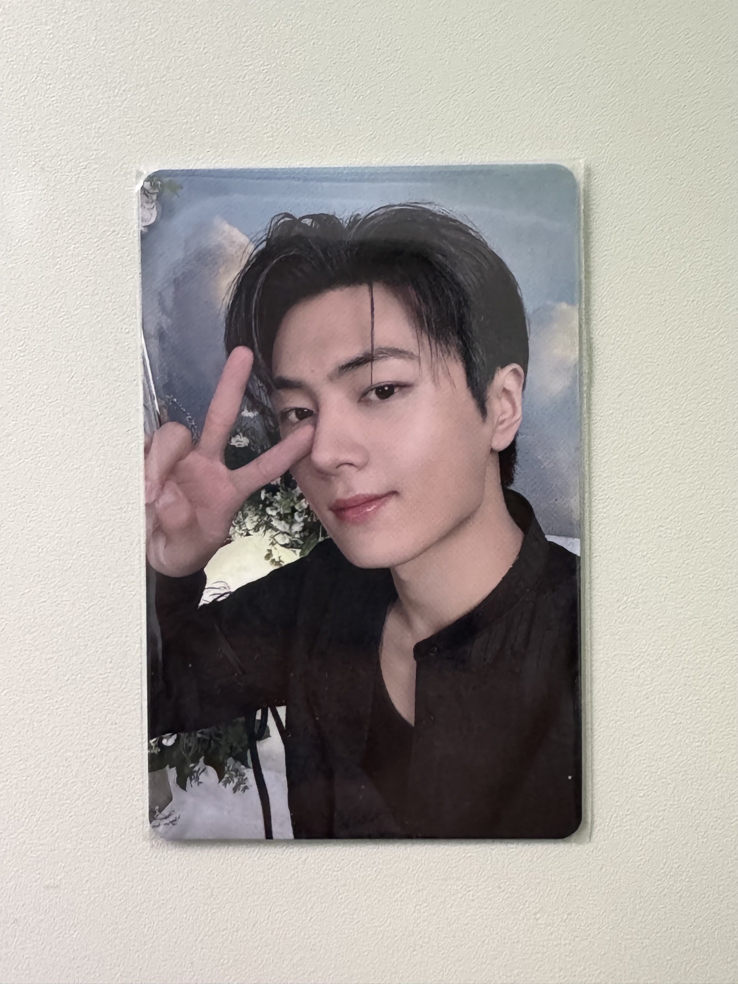 星 wtl日巡球衣卡 