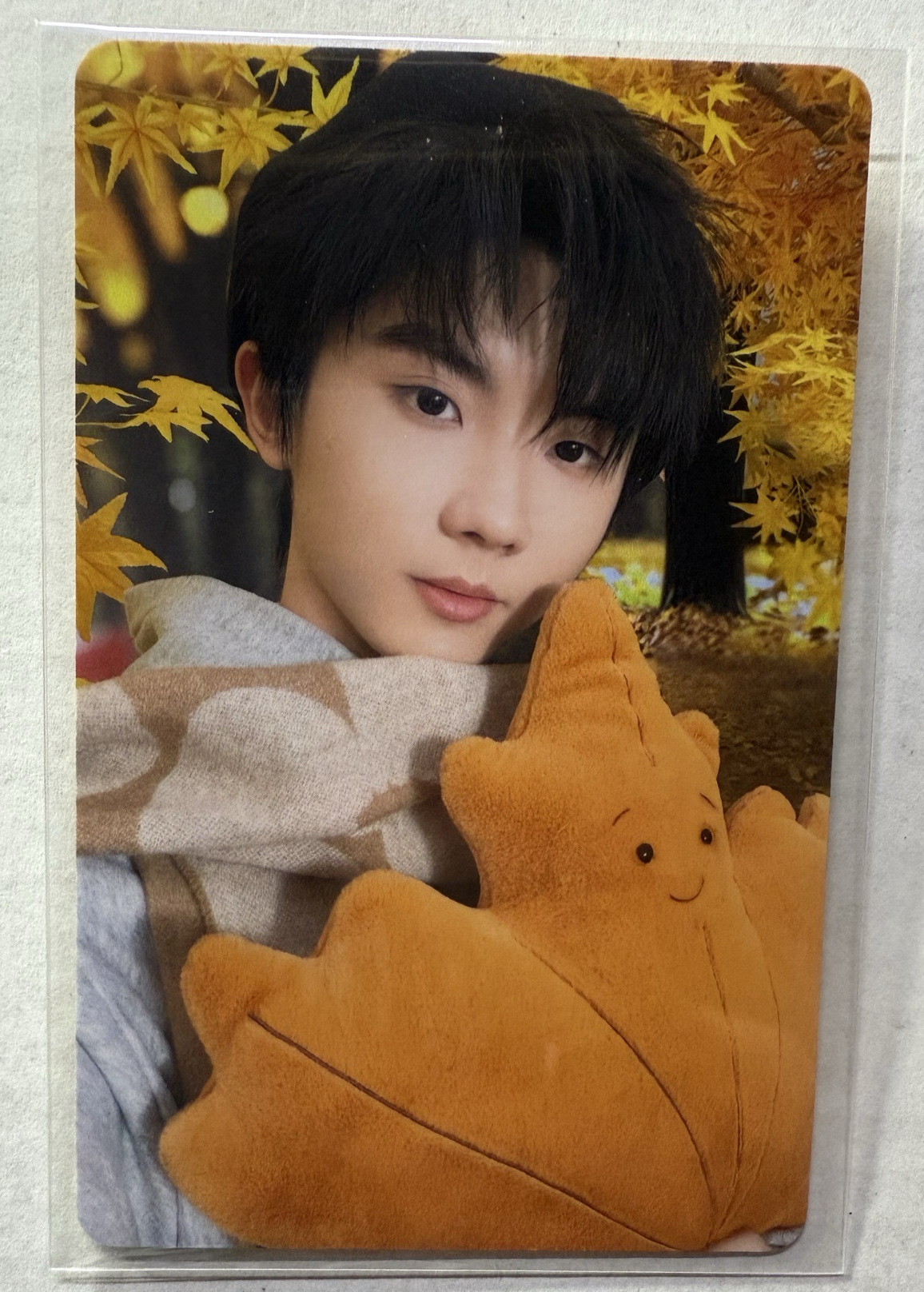 馬嘉祺｜秋日單人固卡