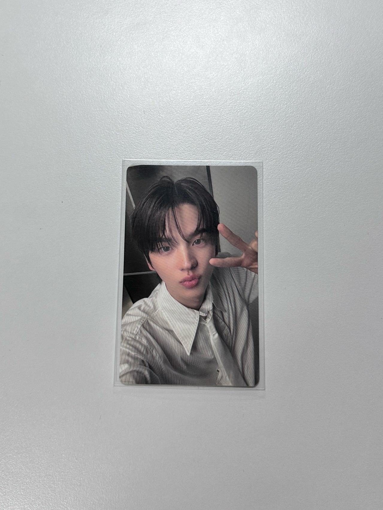 迷四環球特典 申惟