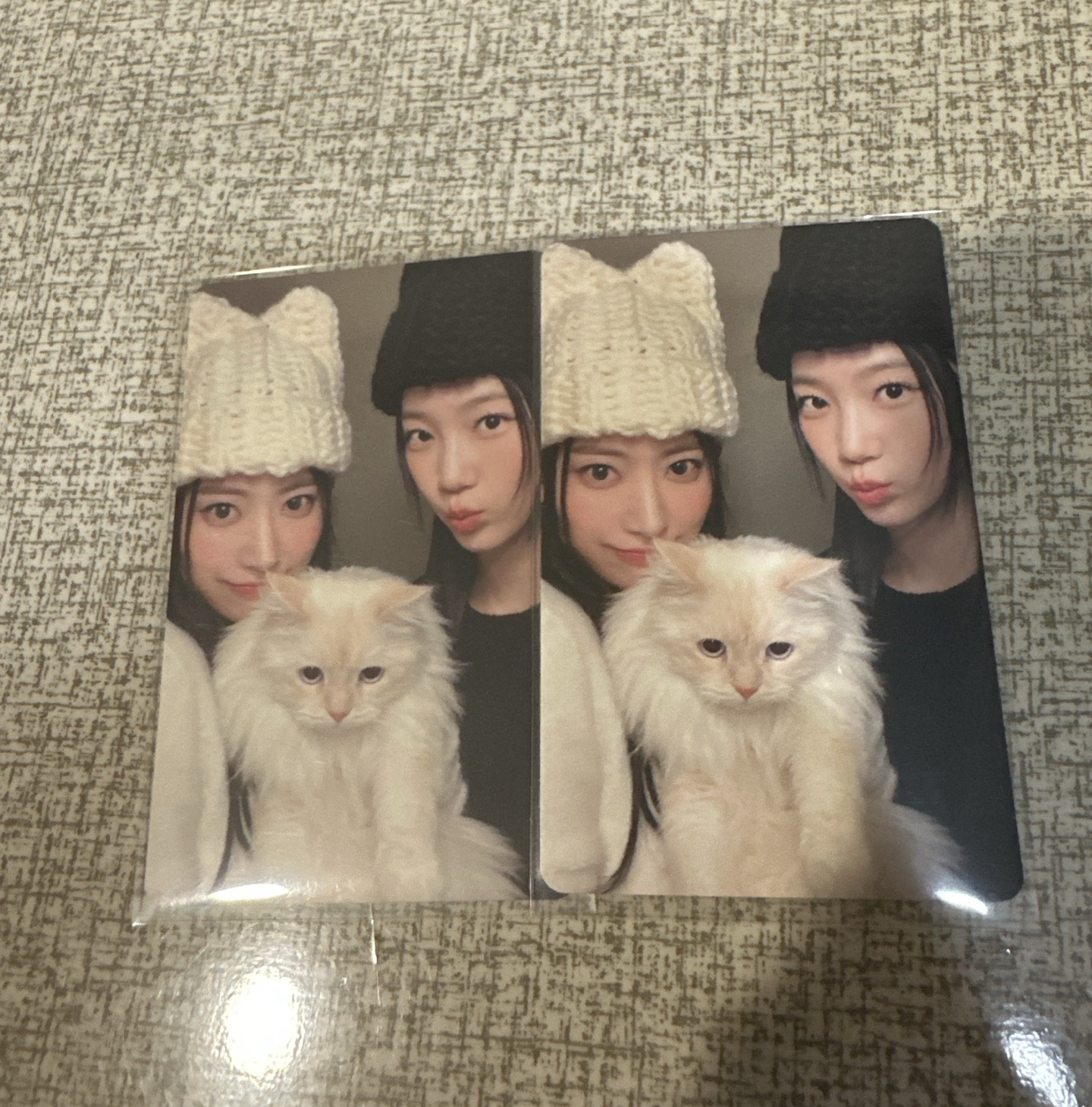 🌸🍃櫻葉雙人卡