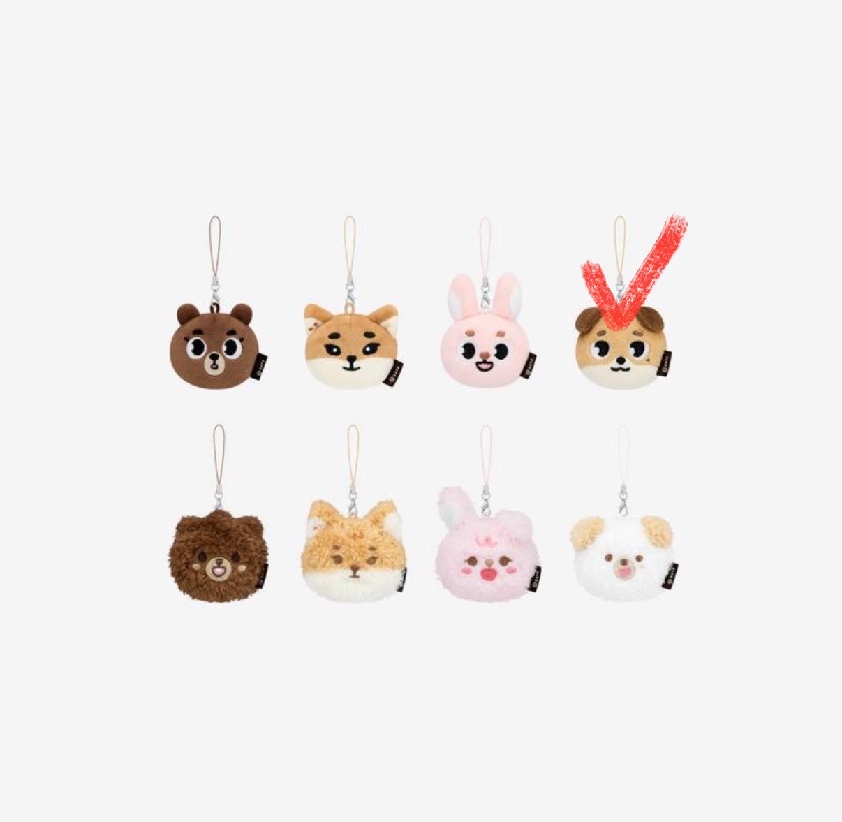 DAY6 day6 FOREVER YOUNG 周邊  PIL DON 