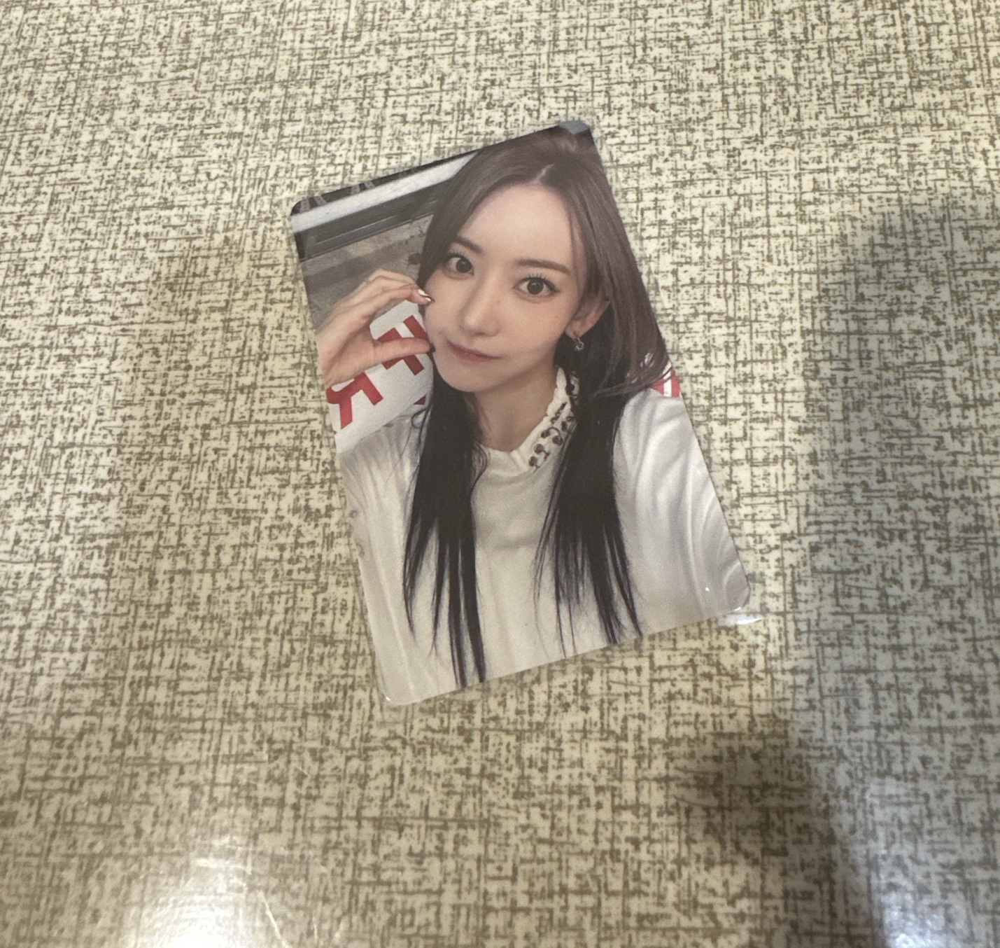 ANTIFRAGILE PB版專卡櫻