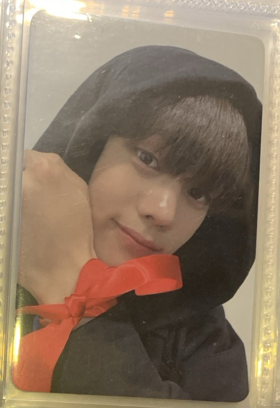 金奎彬迷一特典