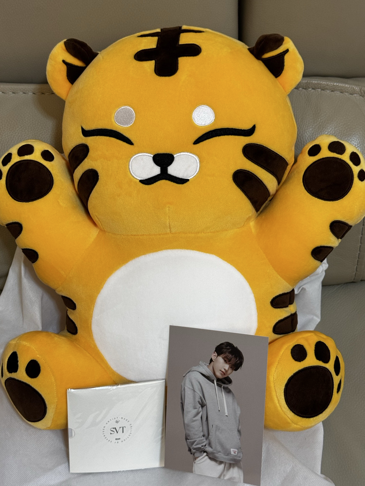 🩵成員自製-大眈眈（全新含小卡/歷程/明信片）