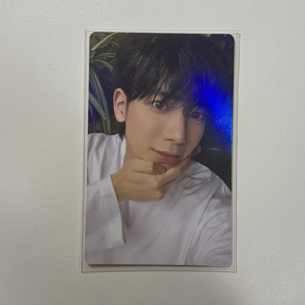 TXT 太顯 wvs阿貢包特典