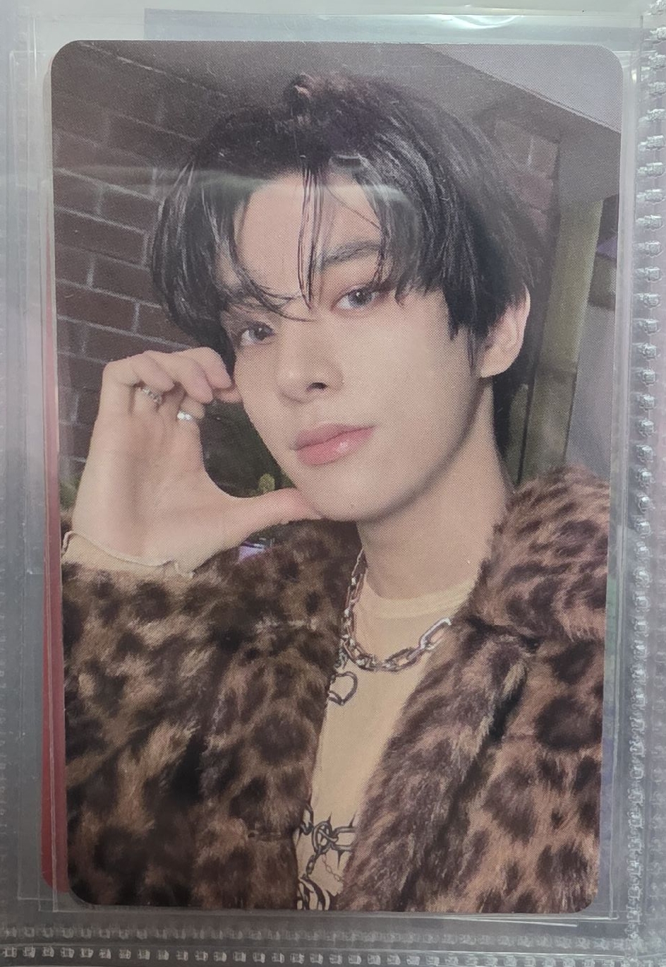 FATE+場限豹紋狗