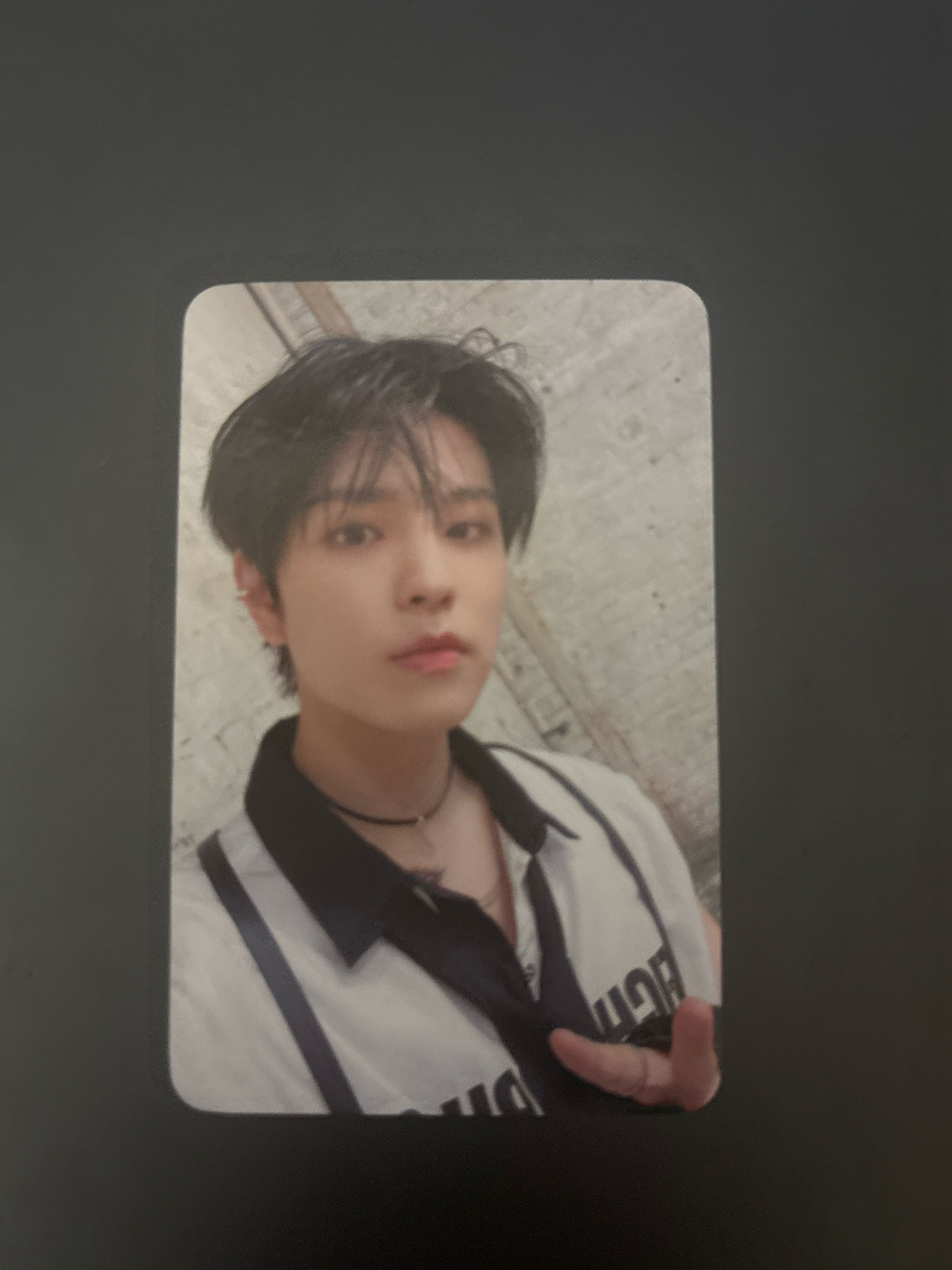 黑髮小狗帥哥比耶