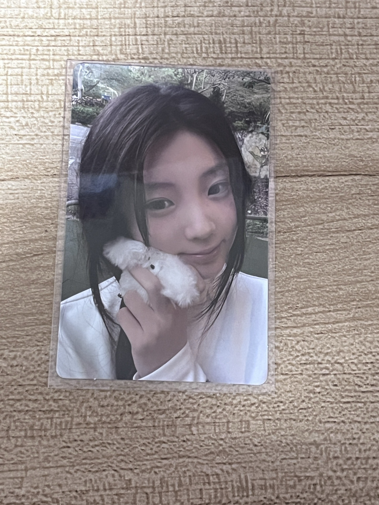 禧mini1 wvs預售 需綁一張卡