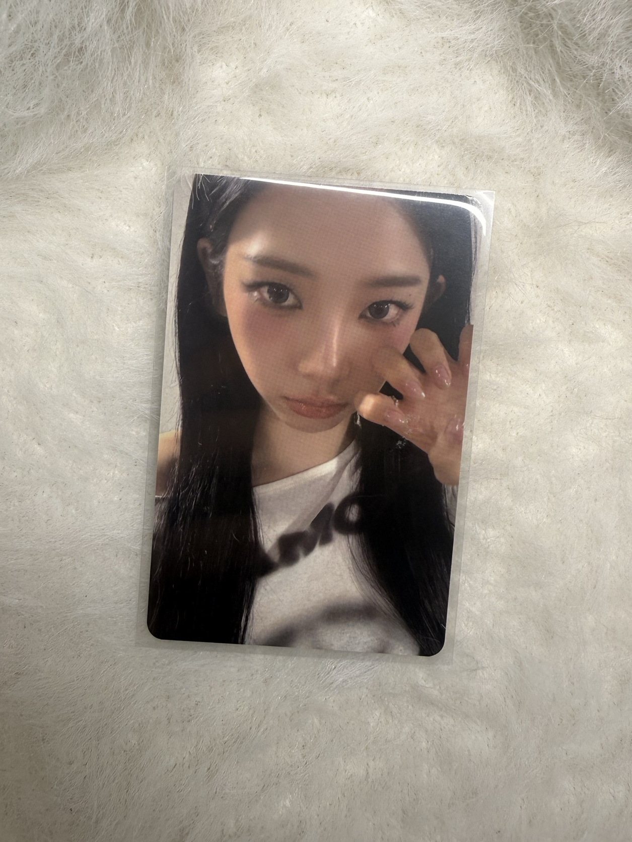 aespa Karina el簽售柚 貓抓柚