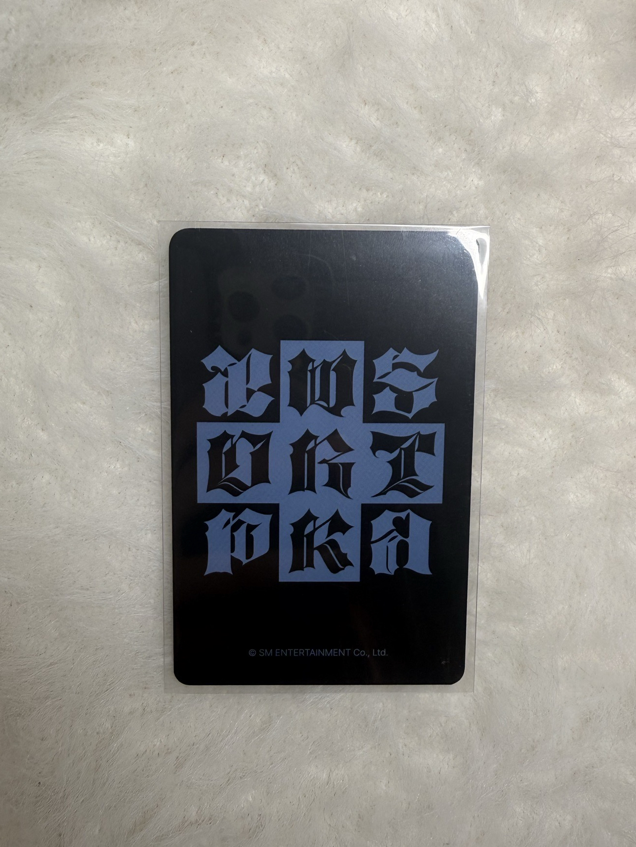 aespa Karina el簽售柚 貓抓柚