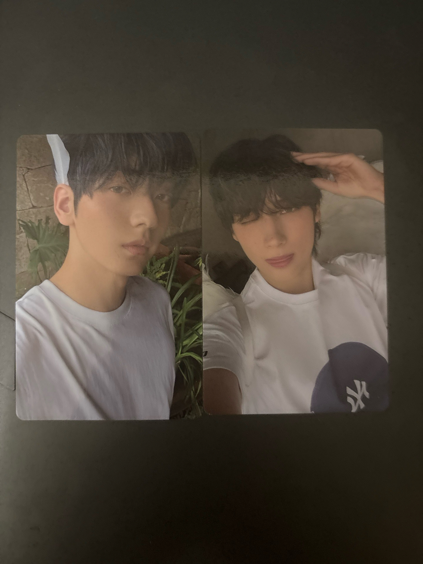 狗耳帥哥&羽毛帥哥（兩張一起出）