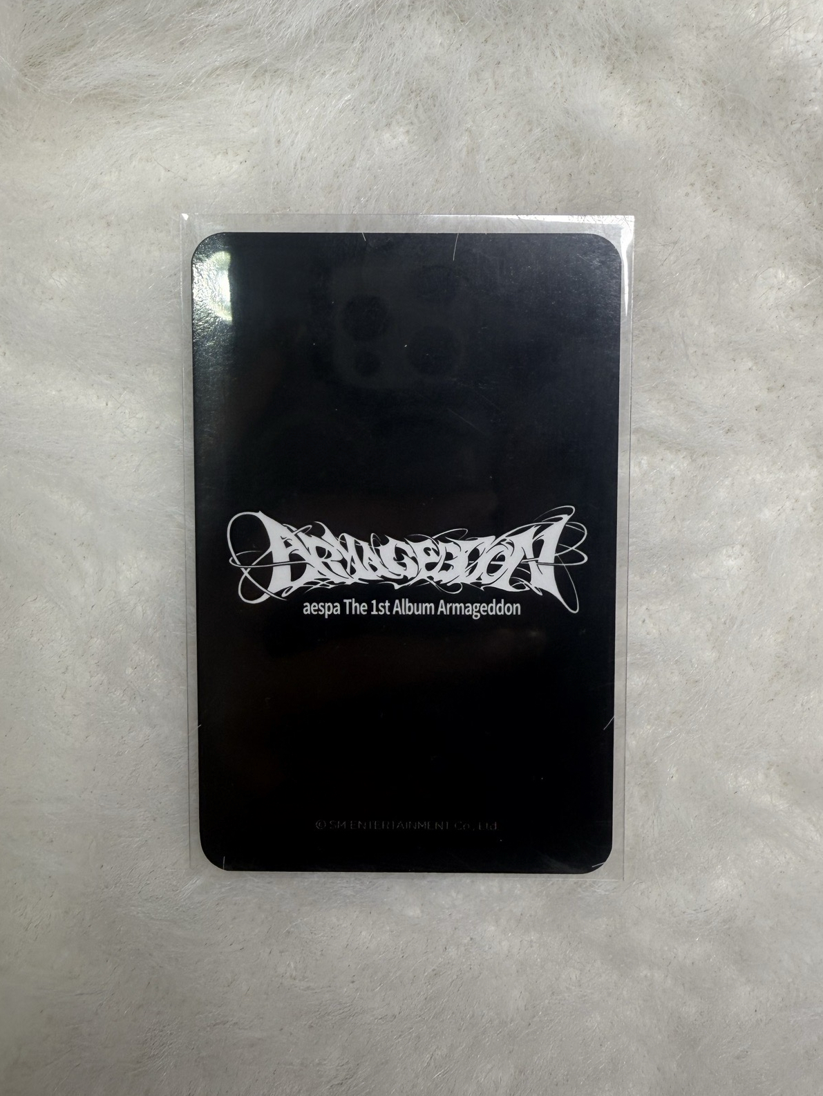 aespa Karina 正規一ms簽售柚 卡皮巴拉柚