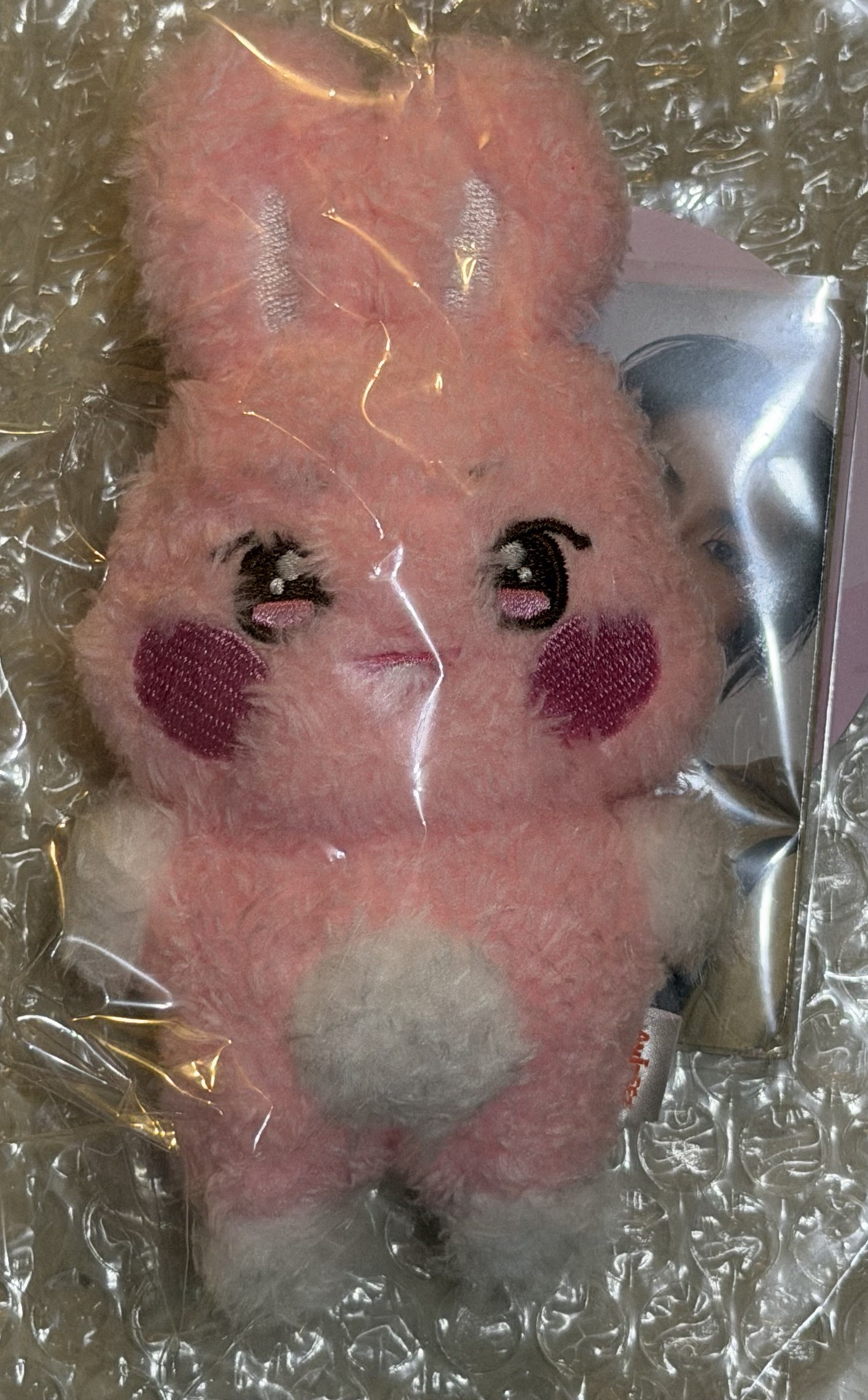 ANITEEZ aniteez ddeongbyeoli 떵별이 潦草 潦草星 星和