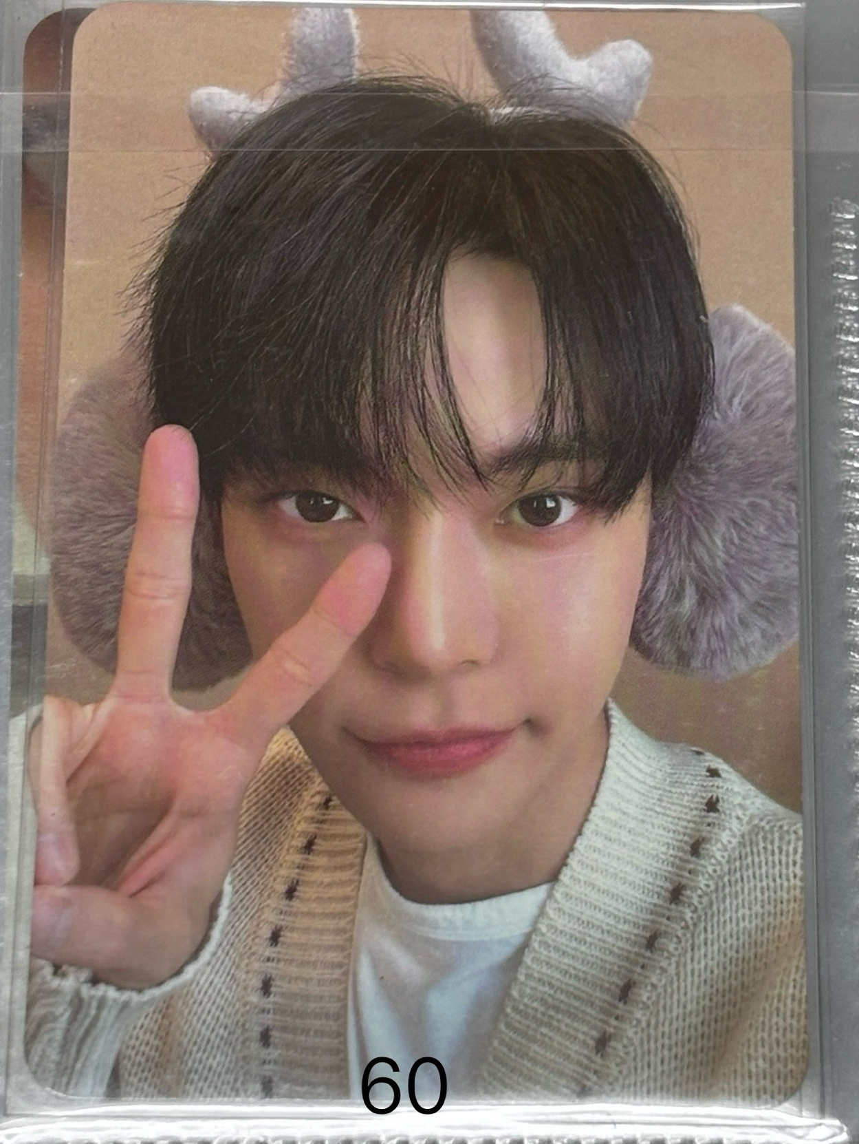 道英 泰容小卡 2022 聖誕卡包 年曆卡