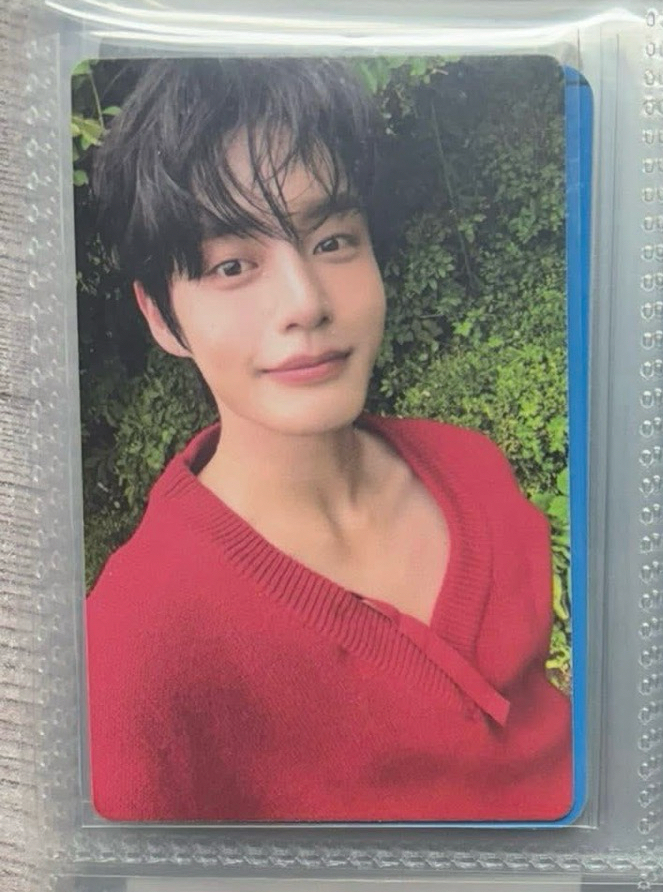 迷四 專輯卡+雄來雙人卡