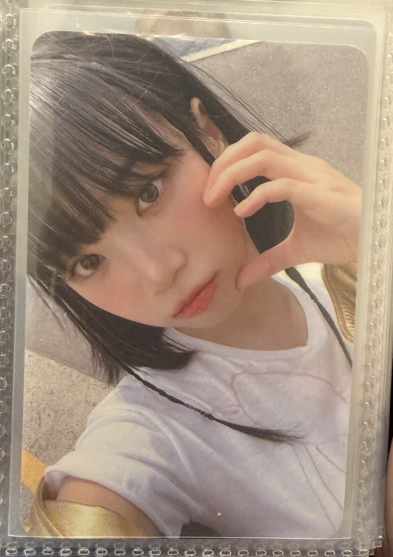 ANTIFRAGILE mp電子專特典 金采源