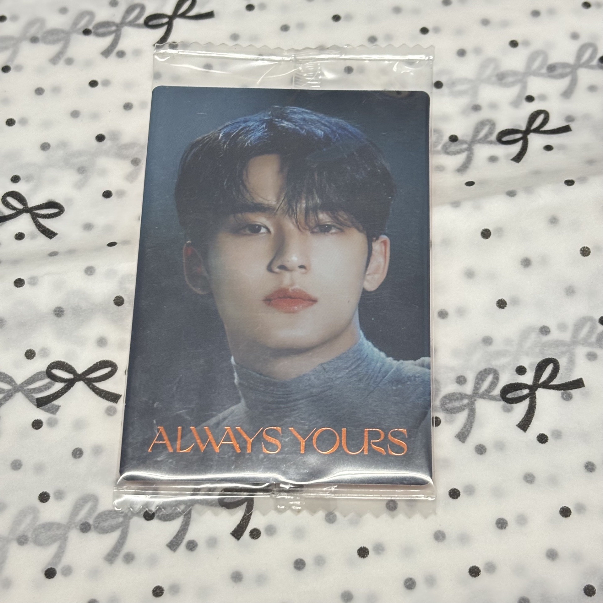 SEVENTEEN MINGYU餅卡