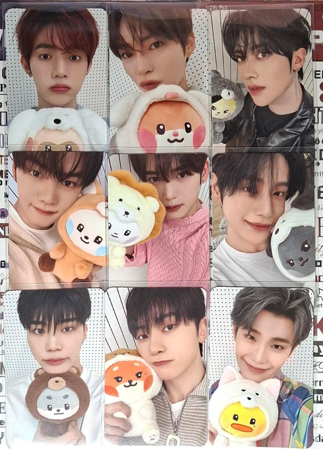 zb1 zeroni FW 滿額卡 一套