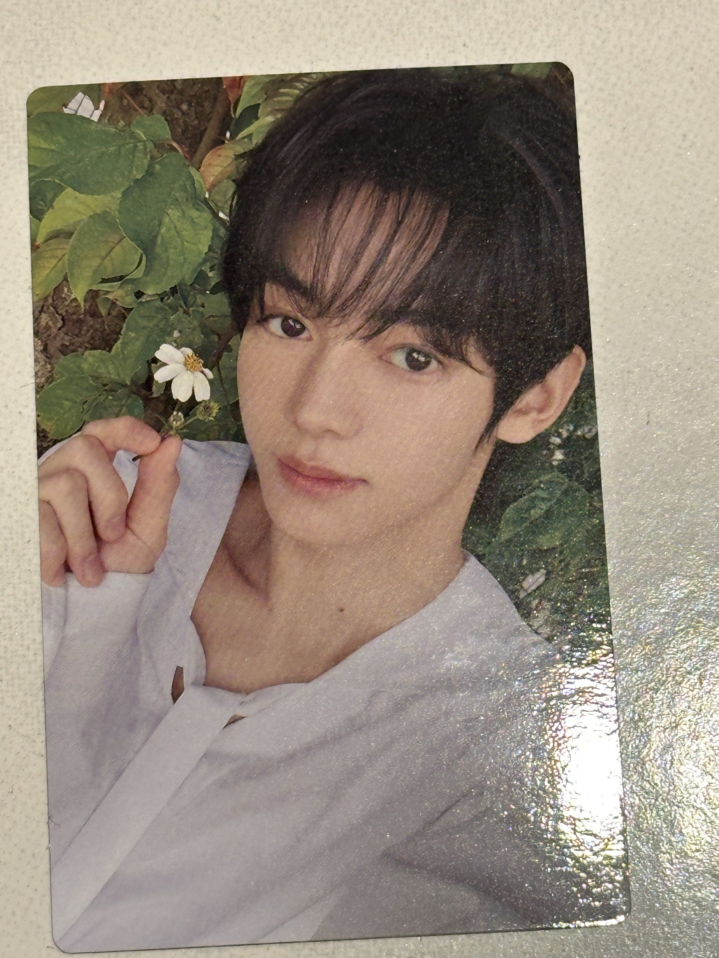 初次見面 專輯卡 初回限定B 韓振