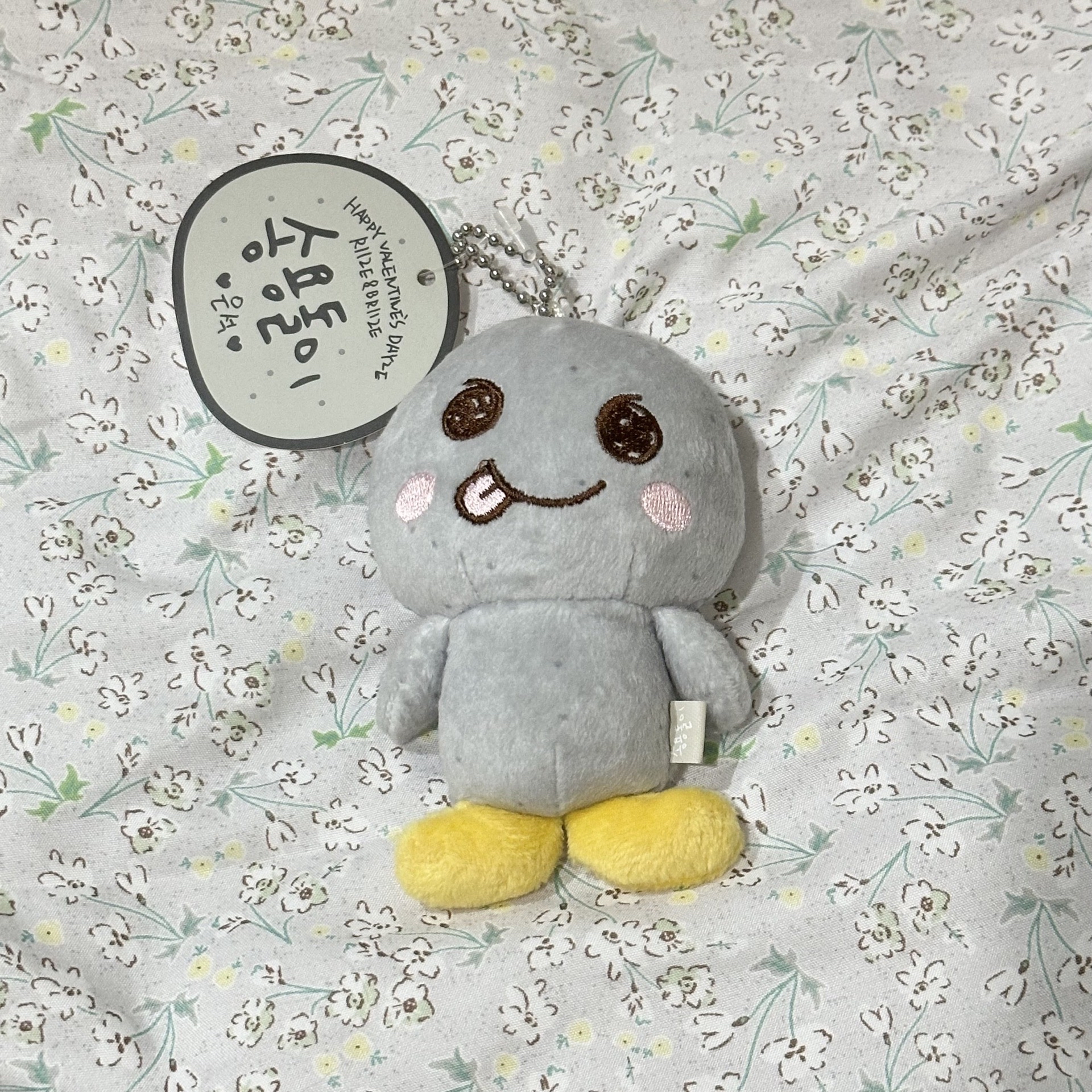 🌟RIIZE - 情人節 10cm 宋龍石 (需綁)