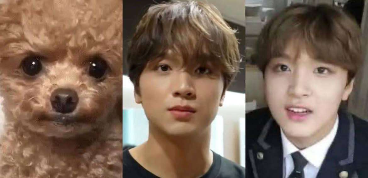 샬린（1/25-2/18暫停出貨）