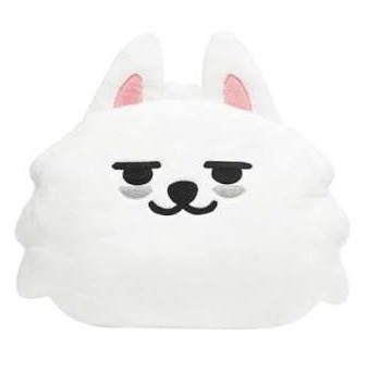 TXT 勇猛抱枕全新