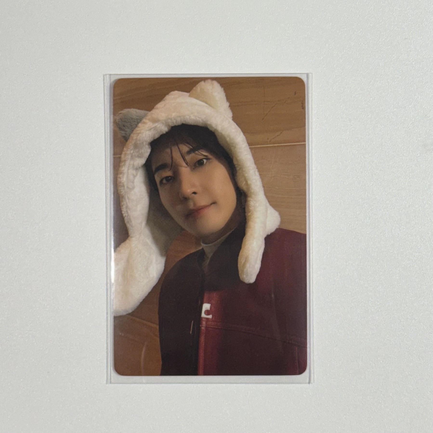 D社 Dicon雜誌 特典 A ver 圓