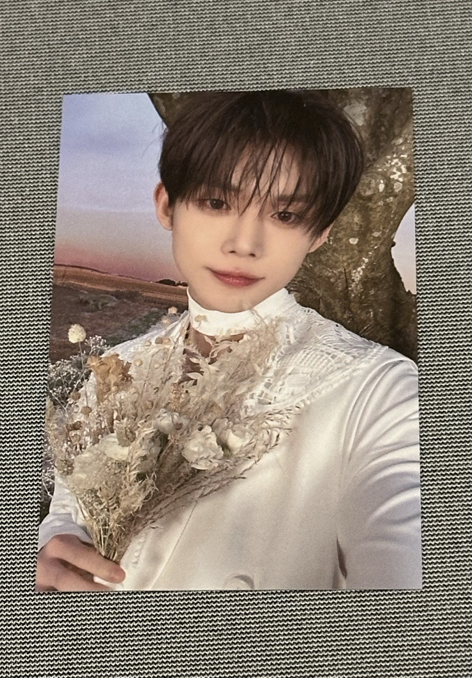 TXT 台灣粽卡 崔然竣