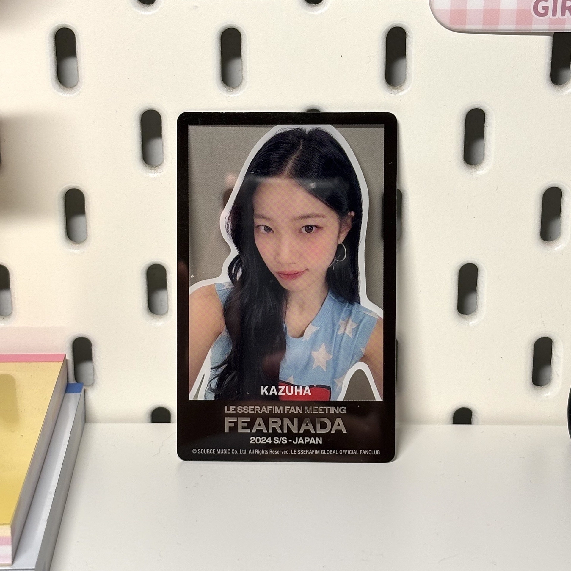 (｡¯ര˔ര¯｡)