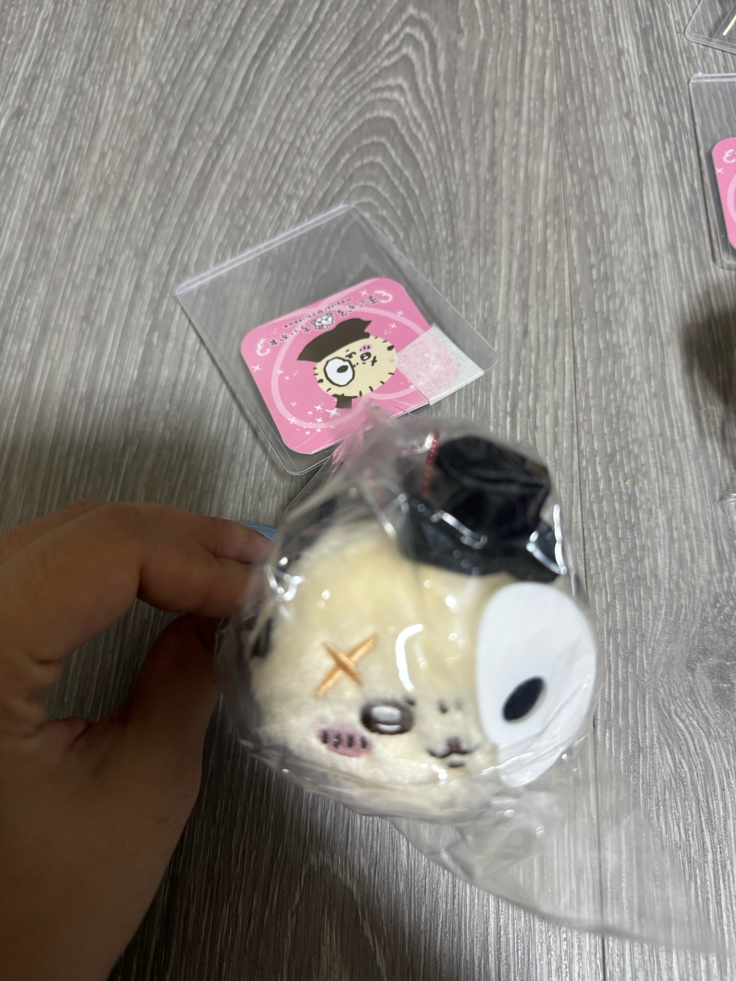 魔法少女趴娃 師傅