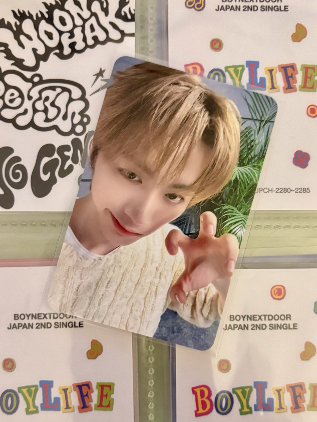 嗷嗚餔咿餔咿笑嘻嘻泰喵尼