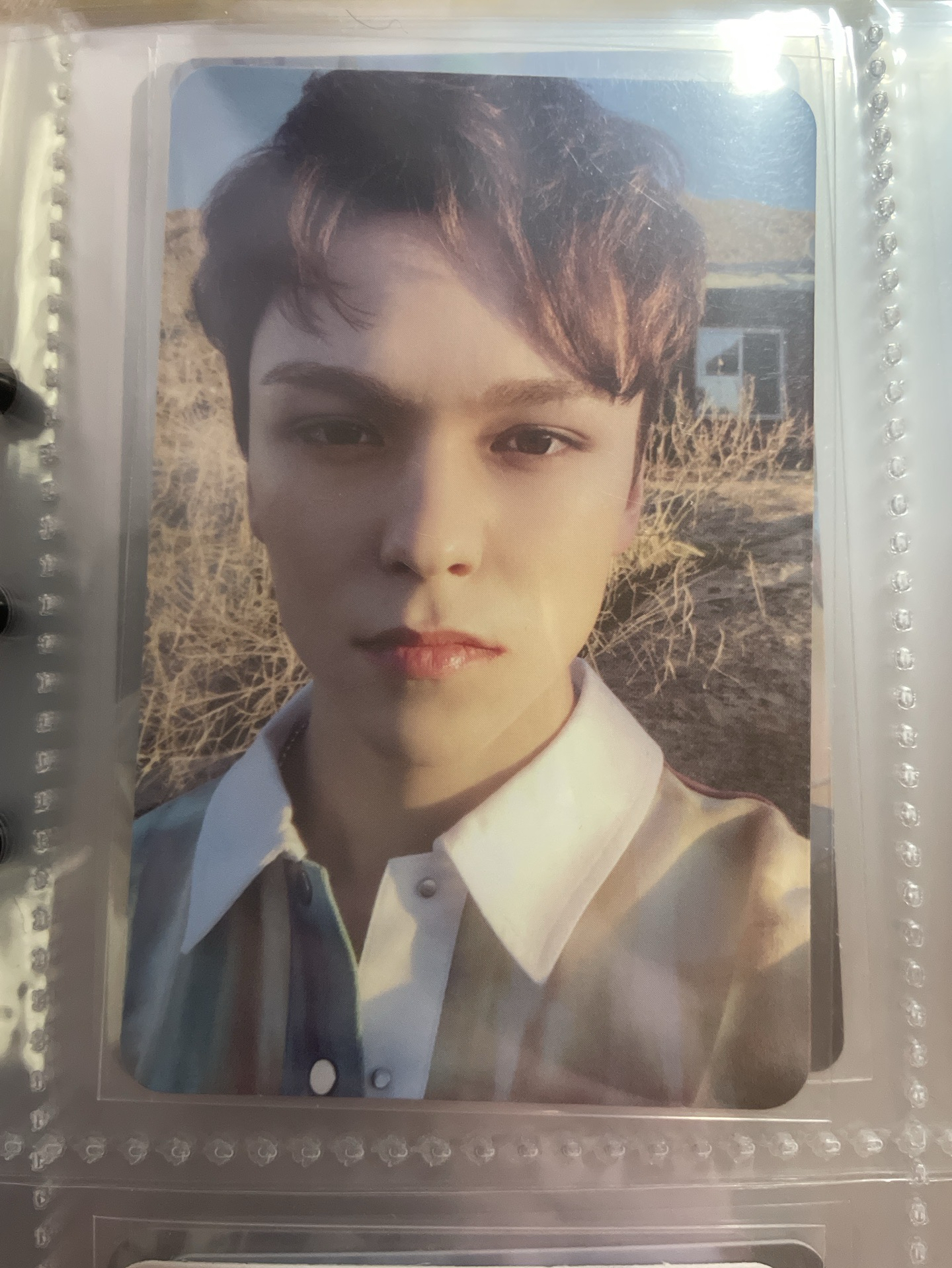 率🐻‍❄️ 迷七 專卡