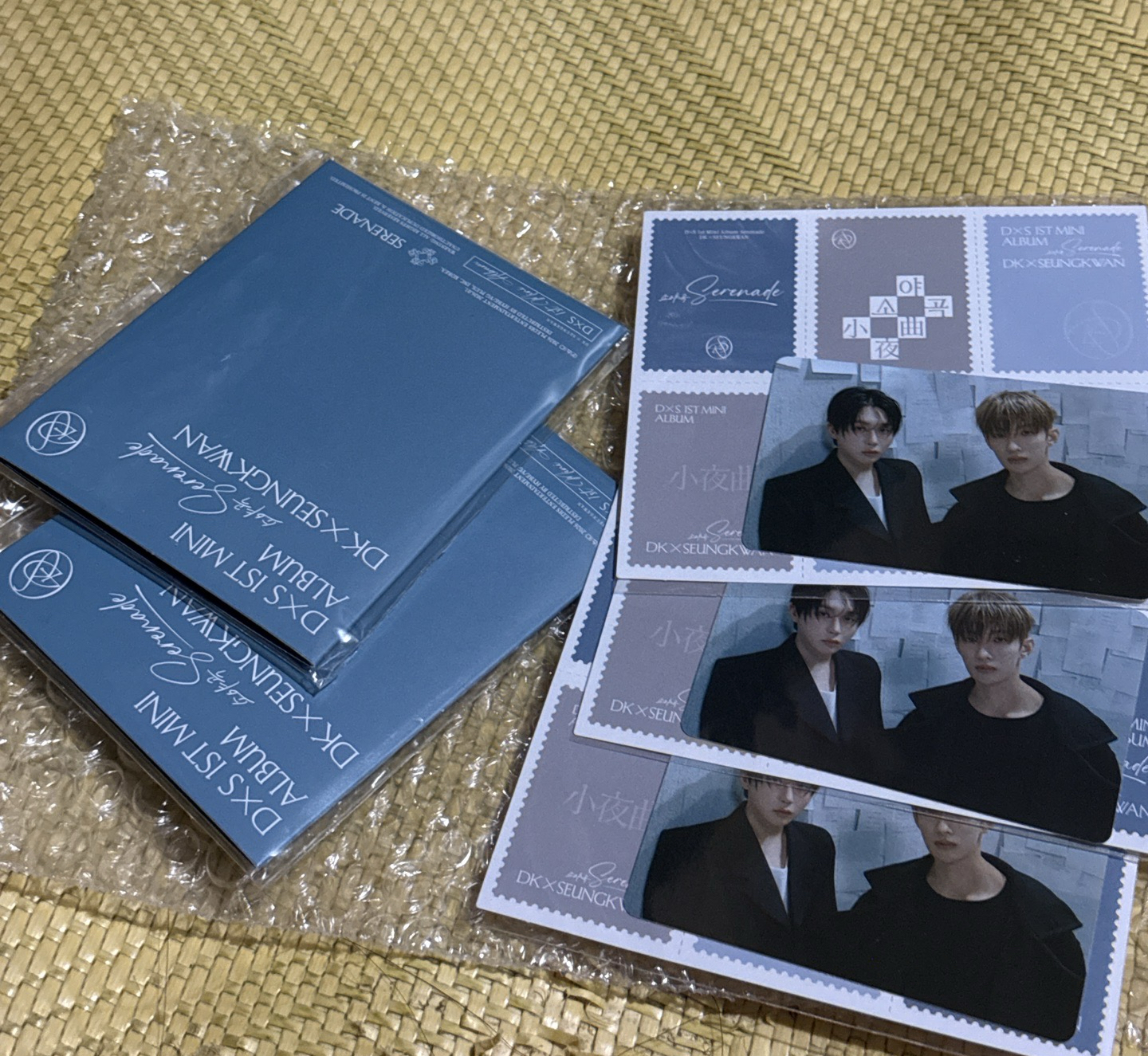 碩寛小分隊 WVS電子專（含特典）