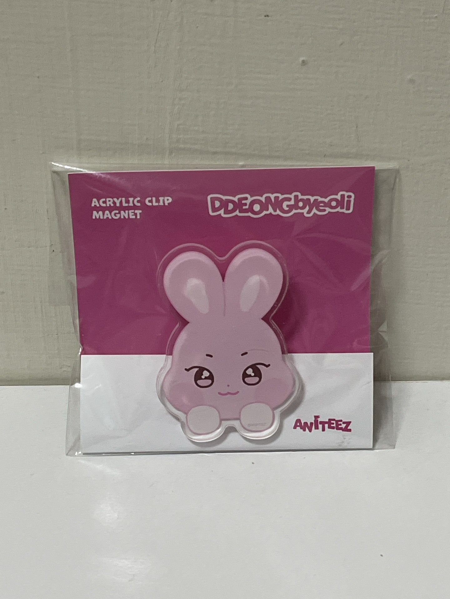 ANITEEZ IN THE CALLING 磁鐵 ACRYLIC CLIP MAGNET