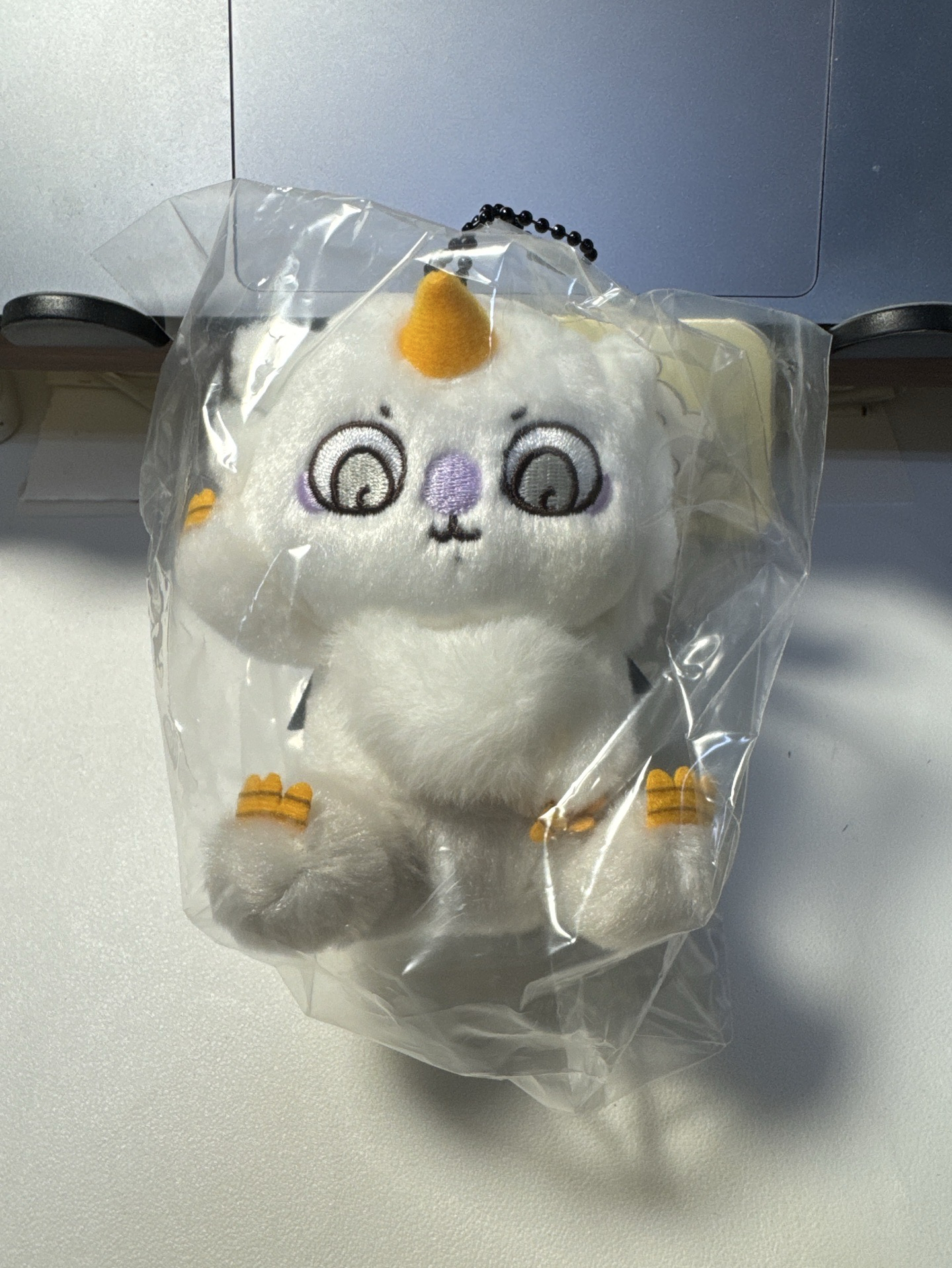 那孩子｜全新現貨 吉伊卡哇