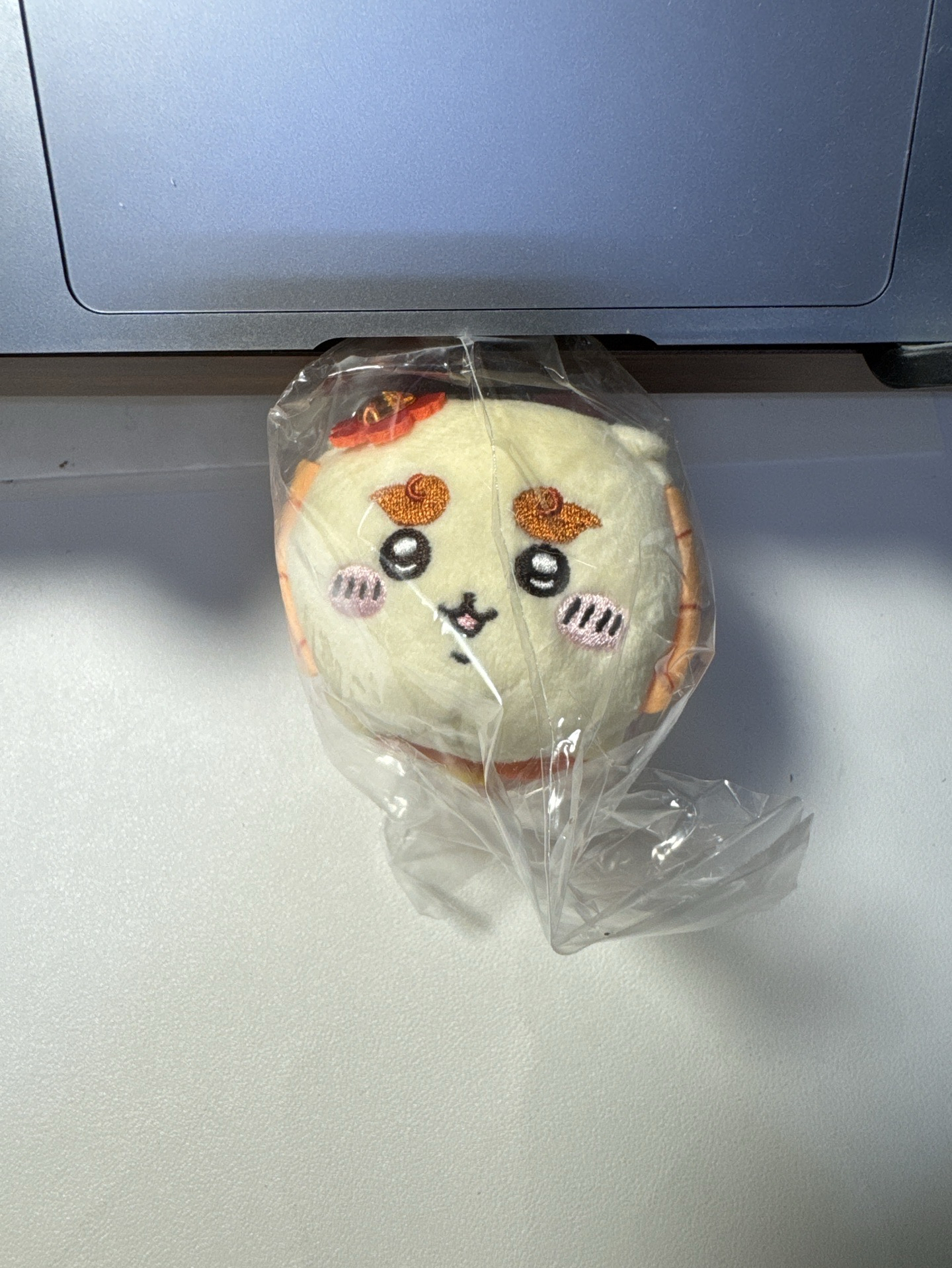 趴趴獅薩 魔法獅薩 全新現貨 吉伊卡哇