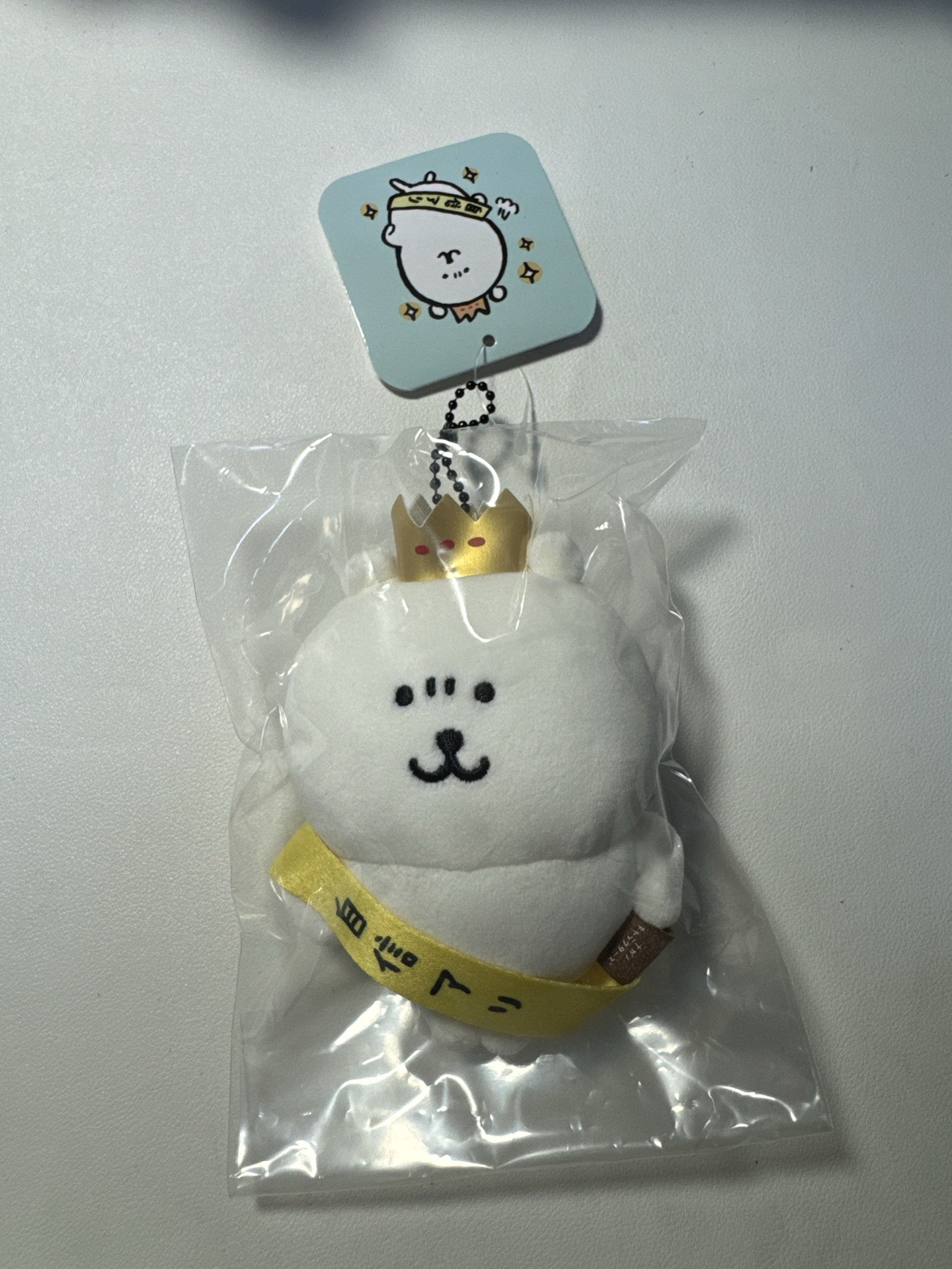 自信熊｜全新現貨 自嘲熊 ナガノ