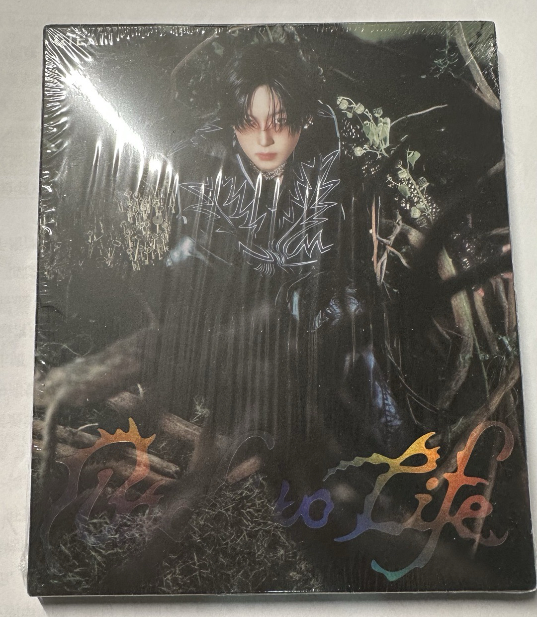 &TEAM FUMA-BTL未拆專