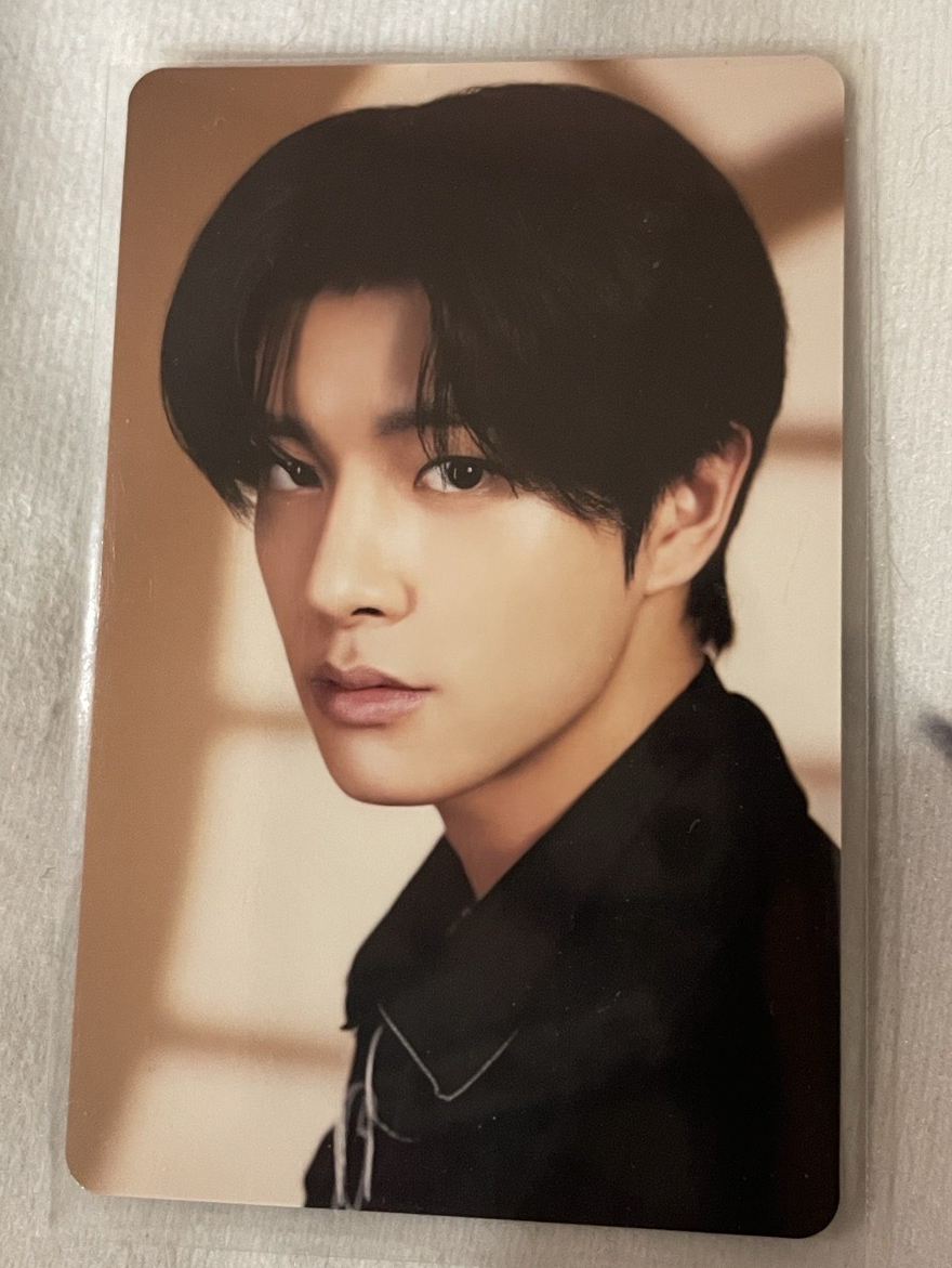 貴族寫真 fate 日巡隨機卡